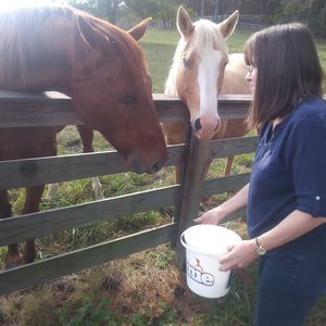 Meet your Posher, Joan